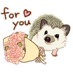 Shy And Cute Hedgehogs Sticker