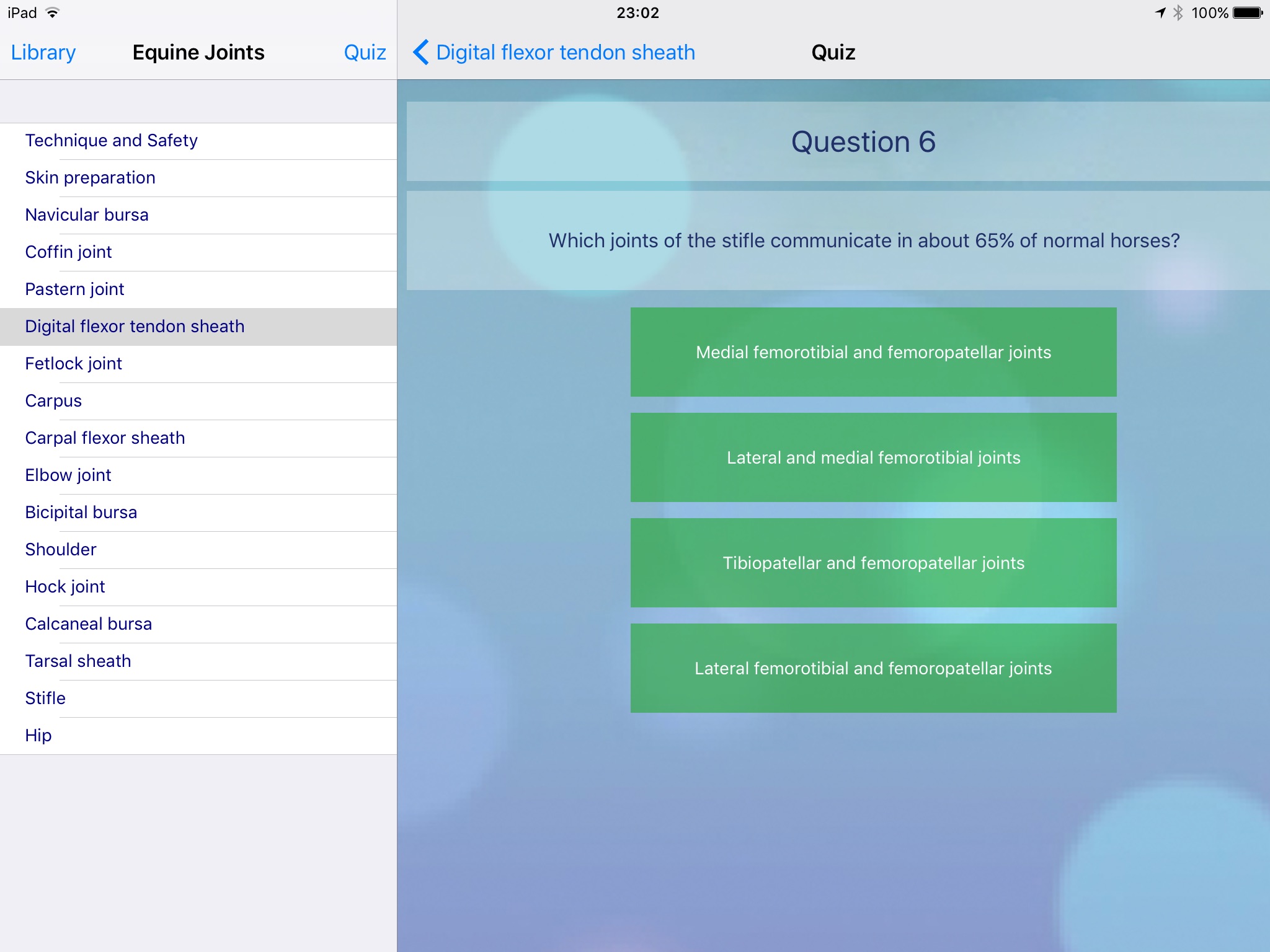 Equine Joint Injections screenshot 4