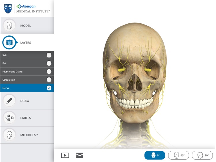 Interactive Anatomy - NO screenshot-4