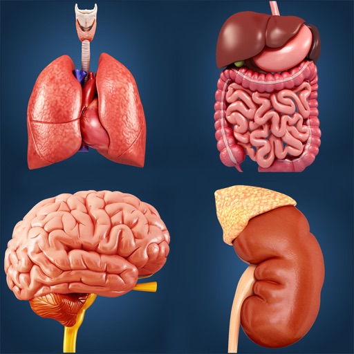 My Organs Anatomy iOS App