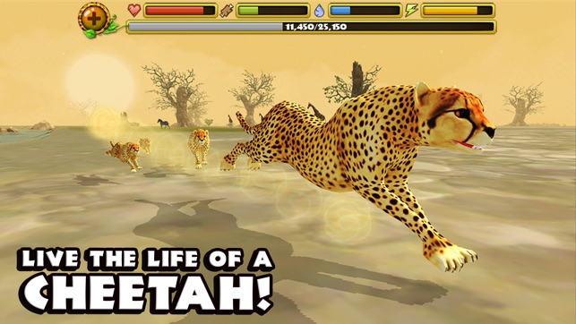 Cheetah Simulator(圖1)-速報App