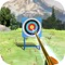 Super Archer Shoot is a 3D mobile game which has amazing 3D shooting graphics, animations