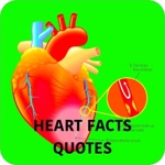 Human Heart Facts  Quiz 3000
