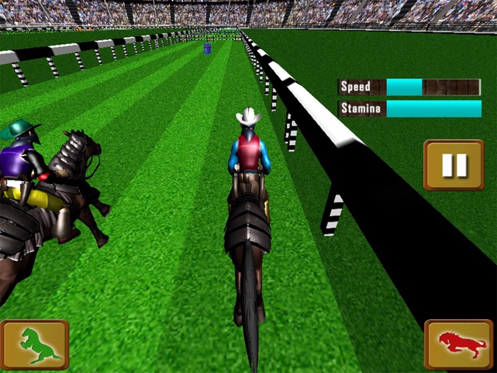 马 赛跑 锦标赛 2017年