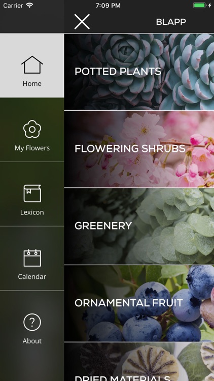 BLAPP - learn screenshot-3