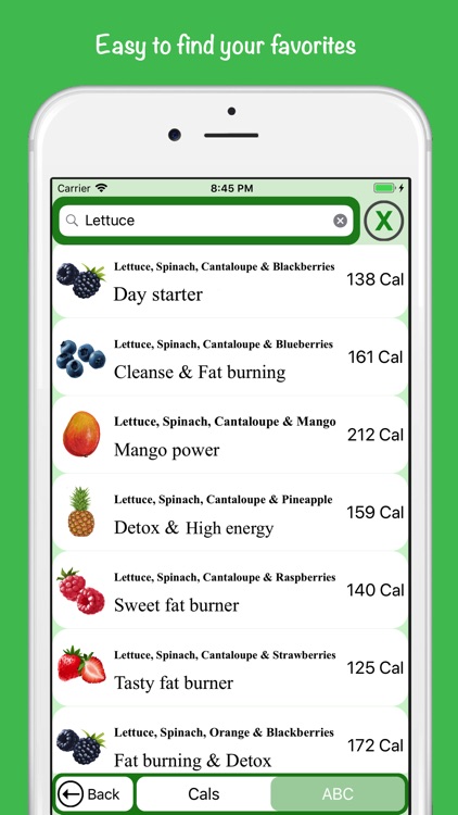 Personal Smoothie Chef Vegan