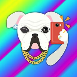 Blinged Out White Bulldog