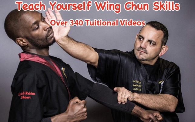 Wing Chun Skills(圖1)-速報App