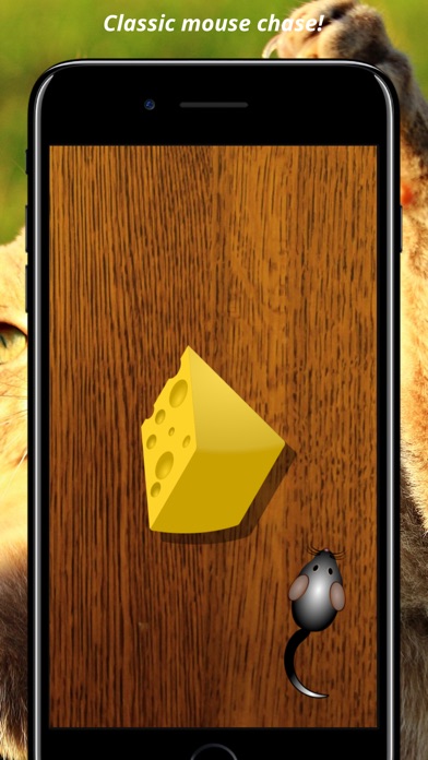 CatzPlay Game for Cats screenshot 3