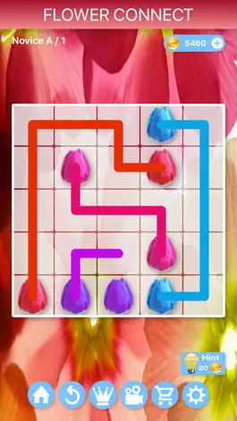 Game screenshot Flower Connect - Puzzles mod apk