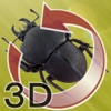 The 3D昆虫 SII