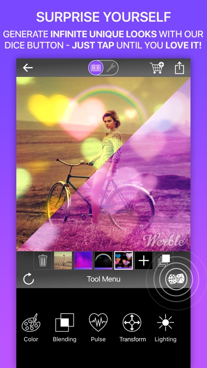 Werble - The Photo Animator