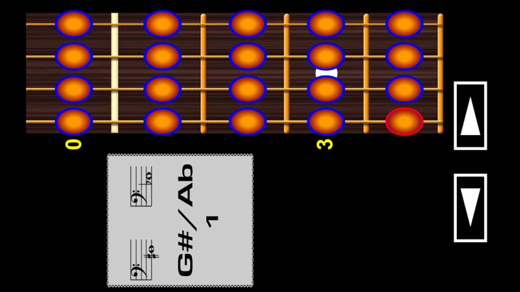 Bass guitar notes reading PRO screenshot-1