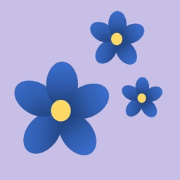 Forget Me Not Calendar