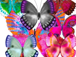 Butterflies make conversations more engaging, add some to your messages, and see your day brighten