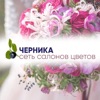 ЧЕРНИКА - доставка цветов