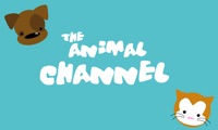 The Animal Channel