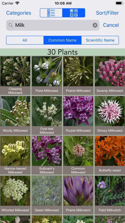 Minnesota Wildflowers Info.