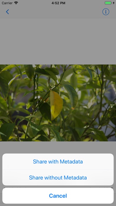 ViewExif screenshot1