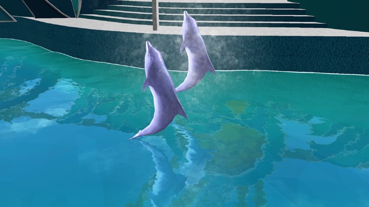 Dolphin show dolphin games 3D