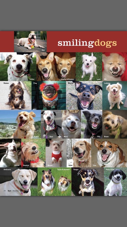 The Bark: dog culture magazine screenshot-4