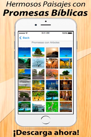 Promesas Biblicas en Imagenes con Citas Biblicas screenshot 3