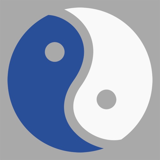 Acupuncture Points Icon