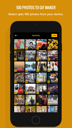 100 Photos to GIF Maker GIFs