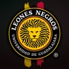 Leones Negros UDG