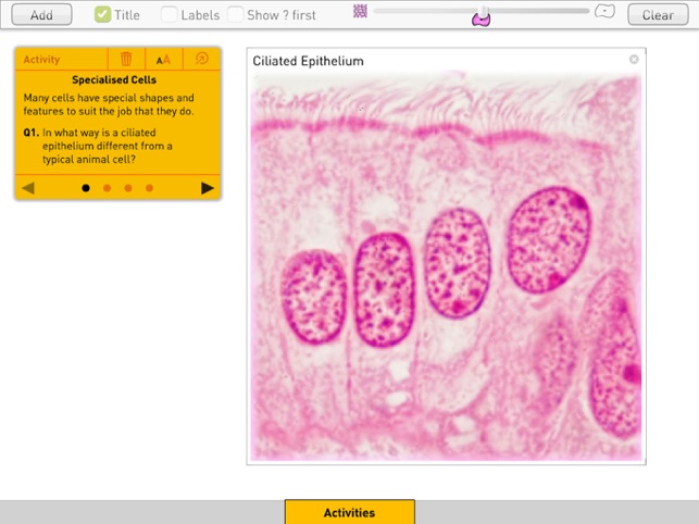 Cells from Sunflower Learning(圖3)-速報App