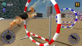 Game screenshot Dog Race & Stunts Wash Thru hack