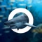 "Amazing World Ocean is a splendid encyclopedia app I am eager to share with readers