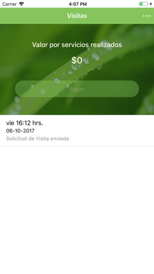 Jardinería Chicureo(圖4)-速報App