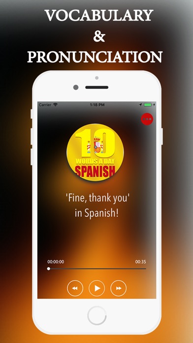 Spanish vocabulary screenshot 3