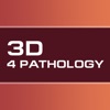 3D Pathology Constructor