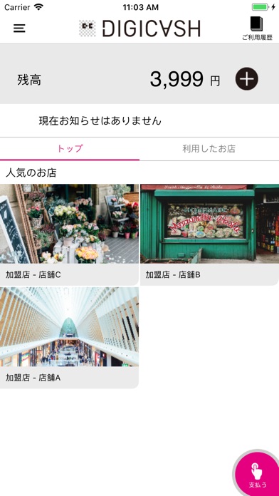 DigiCashのスクリーンショット1 DigiCashのスクリーンショット1