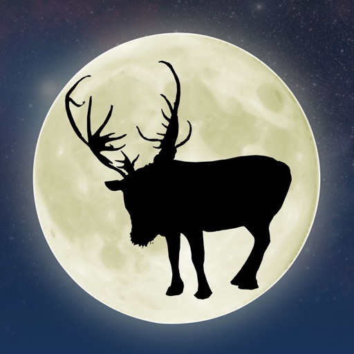 ReindeerCam 2018
