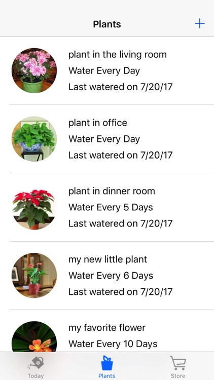 Plant Watering Reminder: Care For Indoor Plants