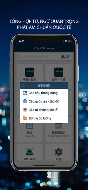 Từ Điển Trung Việt - VDICT(圖5)-速報App