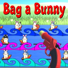 Activities of Bag a Bunny