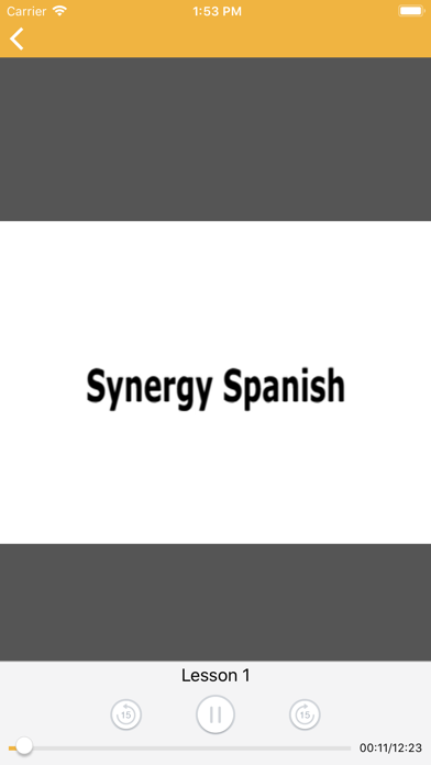 Synergy Spanish 8X screenshot 3