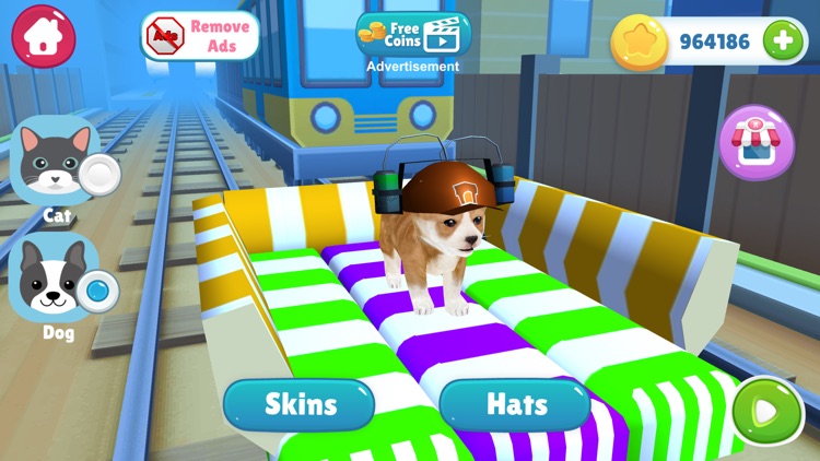 Cat and Dog Show - Sim 2019 screenshot-5