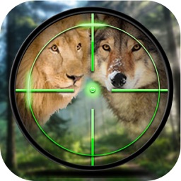 Forest Animal Hunting