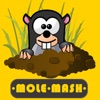 Mole Hunter Official