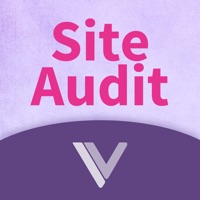 website auditor download