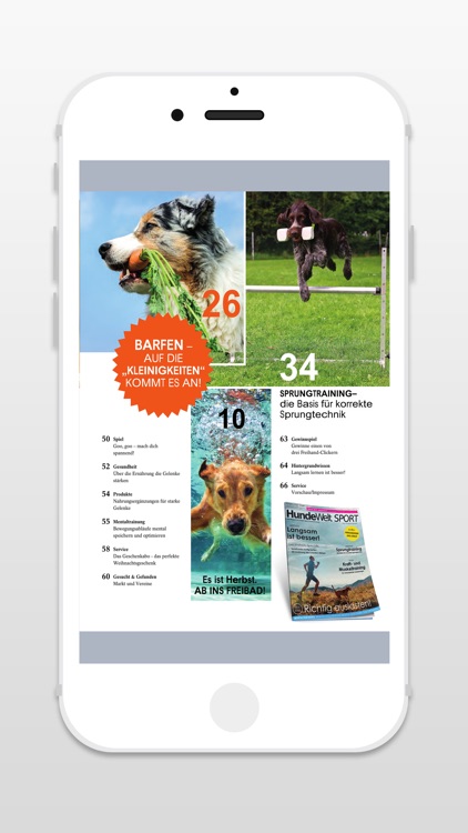 HundeWelt SPORT - Zeitschrift screenshot-4
