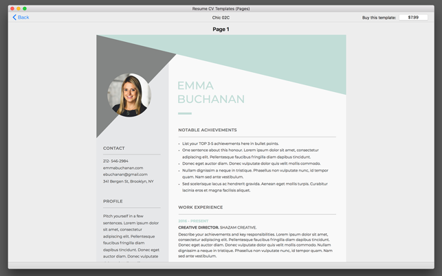 Resume Boss Templates 4 Pages