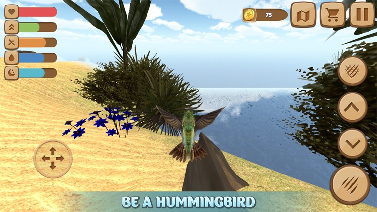 Tiny Humming Bird Simulator