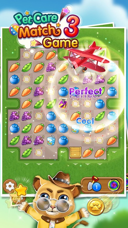 Pet Care Match 3 Game screenshot-3