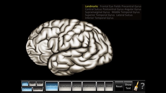 Cerebrum ID